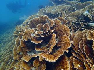 P6060735
