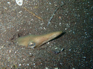 P9170053