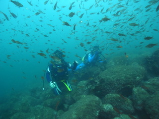 M0019210