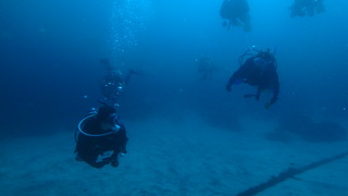 P4290977