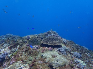 P8110128