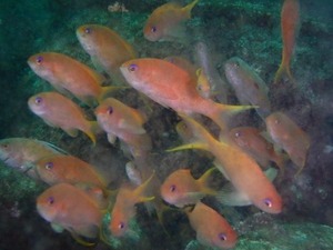 P3110029