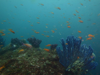P6070089