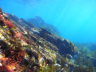 M0015653