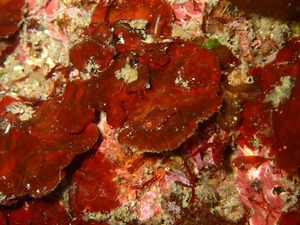 P3260116