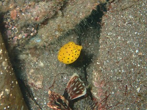 P8280075