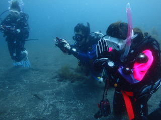 P6270022