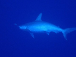 P2110262