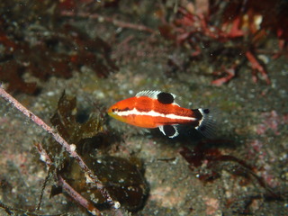 P7180115