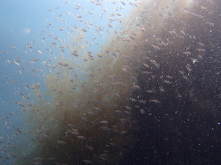 P5040129