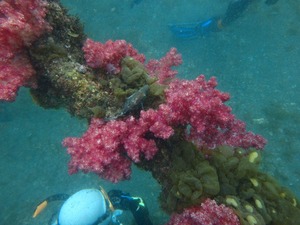 P3180103
