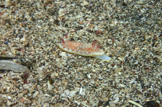 P6250014