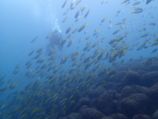 P1230023