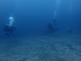 P6060088