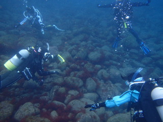 P1280082