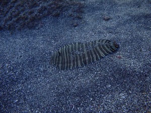 PC030049