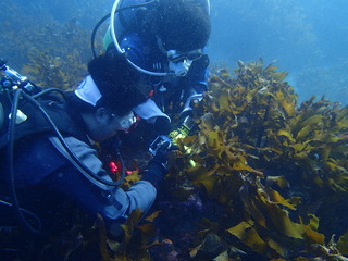 PC050083
