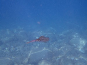 P8210082