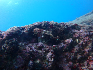 PB040120
