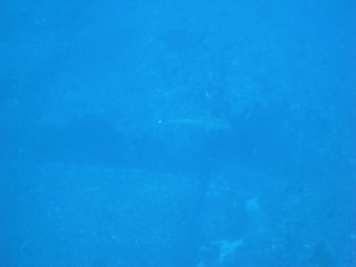 M1058509