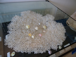 P1011075
