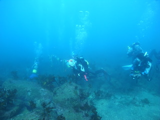 M0020521