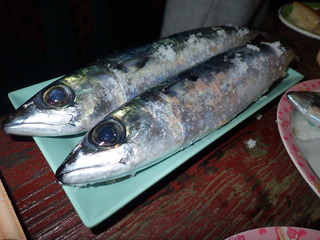 P4280058