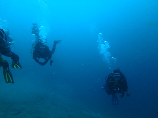 P61802452
