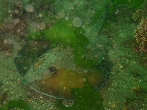 P5050316