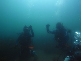 M0018105