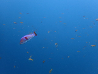 P9090104