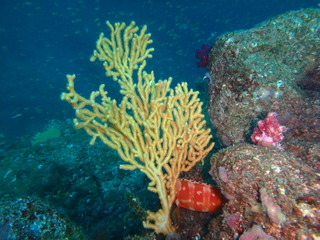 PA090088