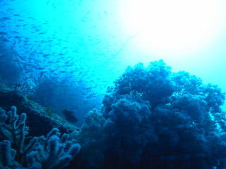 M1059986