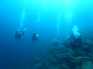 M0020230