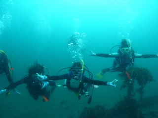 M0017395
