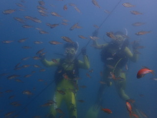 P8260039