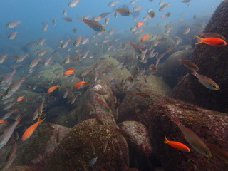 PB080130