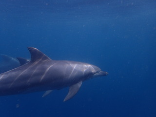 P5230074