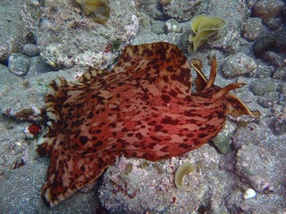P3210122