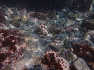 P4160049