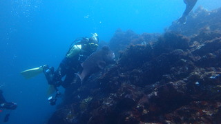 P4290902