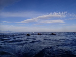 PC040370