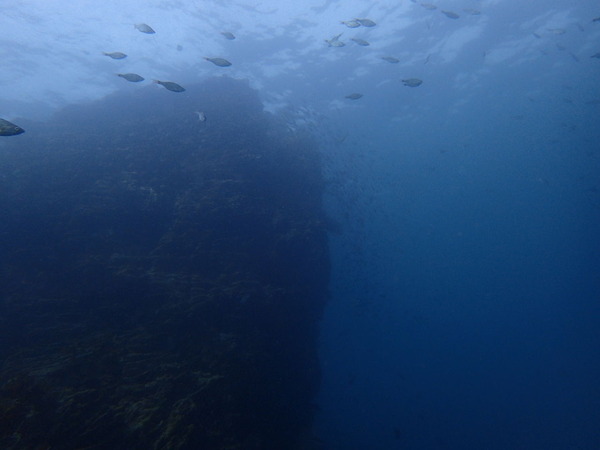 PB010128