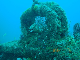 P7020287