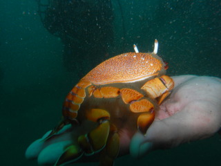 M0011349