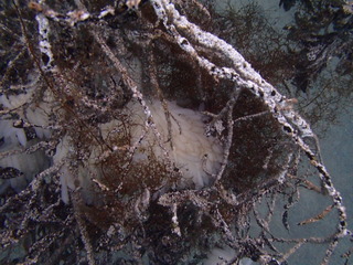 P6280431