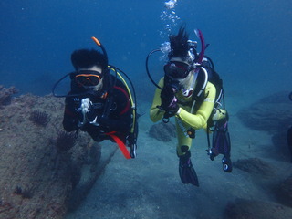 PB040195
