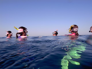 M0011559