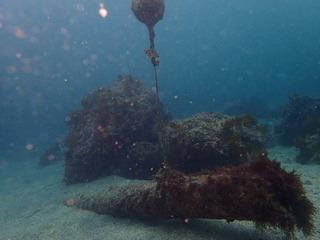 P6290191