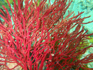 P7120161